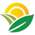 ethiopian logo-modified